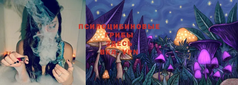 даркнет сайт  Белорецк  МЕГА ТОР  Псилоцибиновые грибы MAGIC MUSHROOMS 